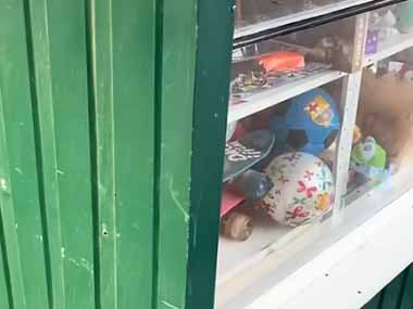 【イヌ】 店のショーウィンドウには人形やボールが並んでいた。これは犬のぬいぐるみ？ → サボり中の看板犬でした…