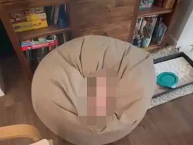 うちの子イヌが昼寝をしていた。そこは人をダメにするソファ♪ → 子犬もこんな感じです…