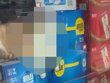 ネコが店の中にいた。もしも～し？ → 招き猫さん、サボり中です…