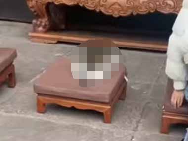 【ネコ】 お寺ではたくさんの人がお祈りしていた。誰よりも熱心だ！ → そんな毛玉さんはこちらです…