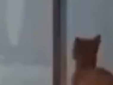 猫のゴハンが少し遅れた。まだですか？ → 猫はさりげなくこうします…