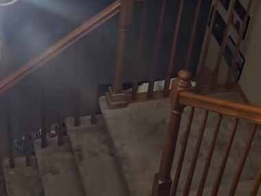 【猫】 パパとママは娘を寝かしつけるために２階にいた。１階でひとりぼっち → 猫はこうなった…