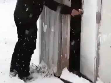 鳥たちが小屋から庭に出てきた。今日は雪が降っている → こうなった…