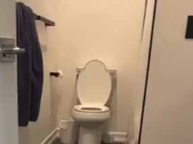 私は子イヌを飼っている。今、トイレに行くことができません → なぜならば…