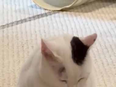 彼女が床でまったりしていた。あっ 洗濯物干すの忘れてた… → そんな瞬間はこちらです…