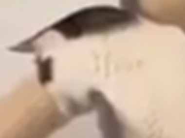 船長は、沈みゆく船と運命を共にする…