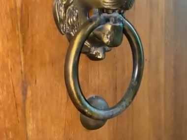 【イヌ】 玄関から何やら音がする。カンカンカンカン！ → その正体はこいつでした…