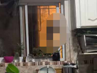 ネコが散歩から帰ってきた。どこから家に入ってくるの？ → こんなところからです…