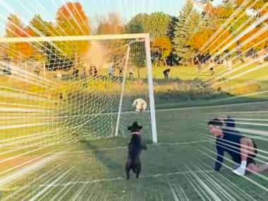 【メッシ犬】 シュートしたボールがキーパーに弾かれた。任せろぉ！ → 犬はこうした…