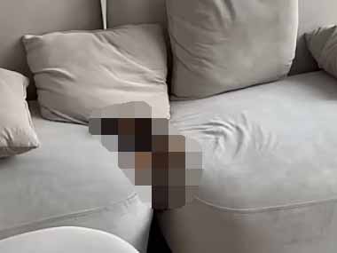 うちの子犬がソファの上で寝ていた。隙間にピタッと♪ → いつの間にかこうなった…