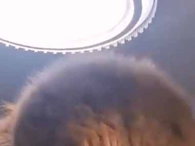 このモフモフは何ですか？ すごく大きいです → でっかい犬はこちらです…