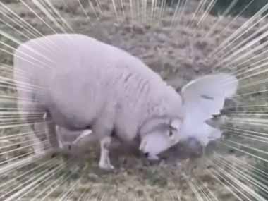 ケンカの相手は体が小さくて明らかに弱そうだった。ちょっ！ → ジャイアントキリングです…