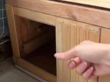 うちのネコが棚の中から出てこない。ノックしてみた。コンコン♪ → 猫、今のお気持ちを表明します…