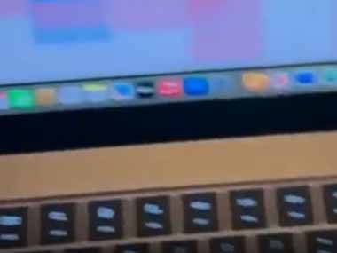 私はネコと犬を飼っている。今日は在宅ワークだ → 仕事になりません…