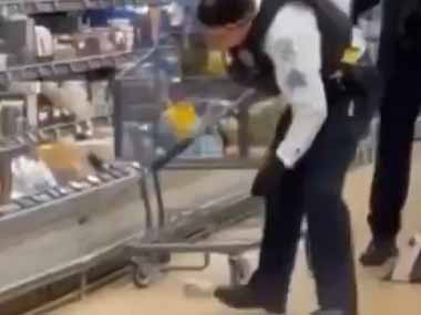 近所のスーパーに野生の動物が乱入した。商品の間に隠れているようだ → その正体は…