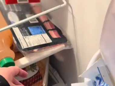 ネコ飼いが冷蔵庫を開けた。つまみ食いは許さない！ → 監視猫はこうします…