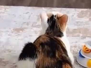 彼女が真剣にテレビを見ていた。でも後ろにいる彼の存在を忘れていたようだ → こうなった…