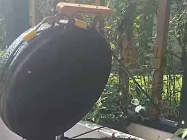 久しぶりにＢＢＱをしようと、庭先に置いてあるグリルのフタを開けた → なんということでしょう…