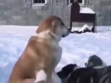 奥さんに浮気がバレて、必死に許しを乞う。そんな状況…