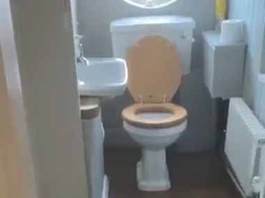うちのトイレの扉はいつも開けっ放し。スタスタスタ♪ → 今日もこの子が使います…