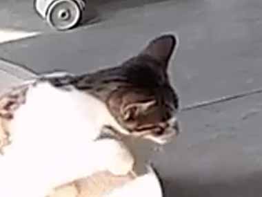やっと彼女がベッドから出てきた → 見事な二度寝です…