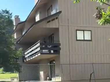 見知らぬ母親が勝手に他人の敷地に入って行った。続けて子供たちもフェンスを乗り越えて入って行く。あなた注意してよ！ → 無理です…