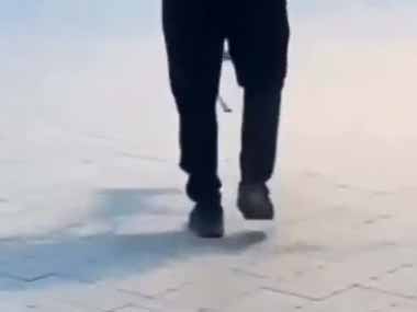 イヌは楽しそう。飼い主は疲れそう → 珍しい散歩はこちらです…