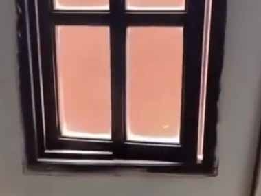 うちのイヌが家の外にいた。窓を開けて呼んでみる → こうなります…