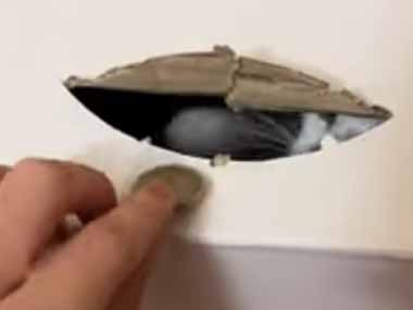 うちにあるネコの貯金箱はこんなんです…