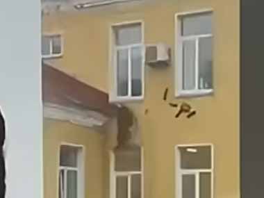 向かいのアパートの壁で何かがモゾモゾ動いていた。あれは何だ？ → リスの家族がお引っ越しのようです…