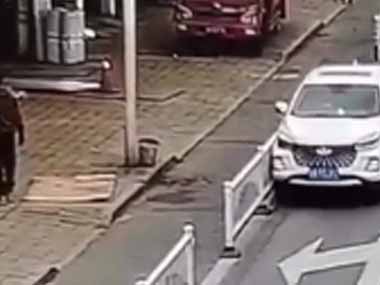 【イヌ】 路上駐車している車が突然動き出した。誰も乗っていないのにどうして？ → 運転席のドアを開けたら…