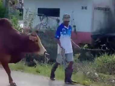 普段は大人しいからと「動物」をナメてはいけない。モー怒ったぞ！ → たまに牛はこうなります…