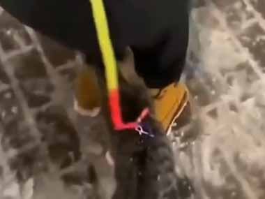 ネコと一緒に散歩に行く。その日は雪が降っていた → 家を出た猫はすぐにこうなった…