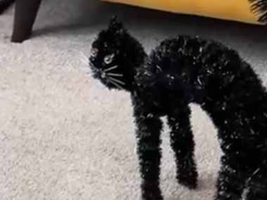 黒ネコの人形が床に置いてあった。だ、誰だぁ？ → うちの黒猫はこうなった…