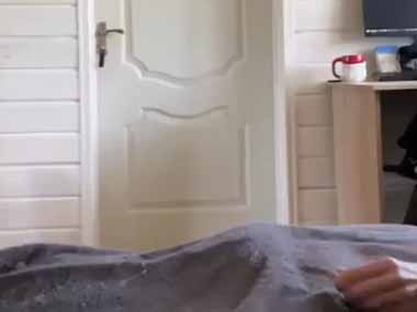 猫のオモチャをベッドの上で動かす。にゃ～ん！ → モフモフさん、現れます…