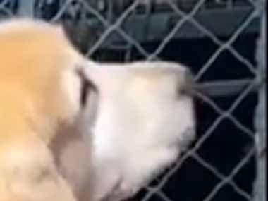 画像あり 例の初代ミリオンゴッドちゃん とんでもない結末を迎える ぶろにゅー
