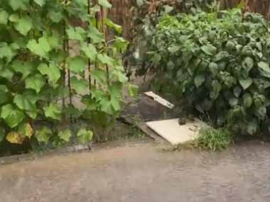 【ネコ避難】 大雨のせいで地面は水浸しだった。畑の中に何かある → 覗いてみたらこんな様子です…