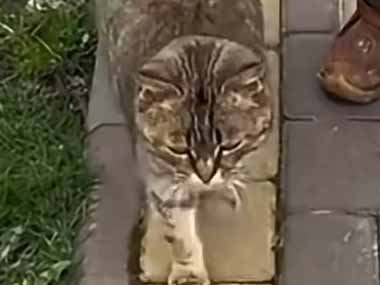 可愛い女の子が食べ物を持っていた。ちょっともらうよ → 大胆な強盗が現れた…