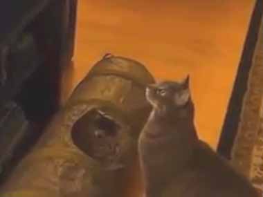 うちの猫がテレビを見上げていた。猫が出るアニメに興味津々だ → 何か言っているけど猫語だからわからない…