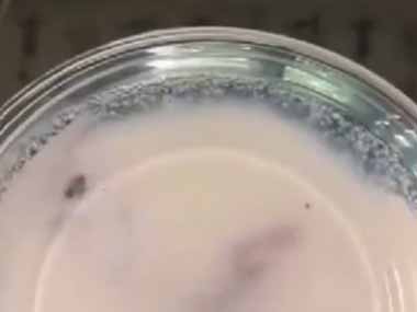 可愛い子が並んで牛乳を飲んでいた。それを下から見てみた → こんな様子です…