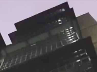 【ねこ】 アパートの窓の外は柵で囲まれていた。にょろにょろ♪ → 猫はやっぱり液体です…