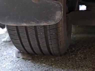 猫がネズミを追っていた。車の下に逃げ込んだ → さっきからこんな様子です…