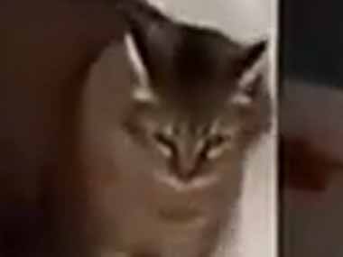 彼女にちょっと意地悪をした。俺の妹に何してくれてんねん！ → お兄さんがやってきて…