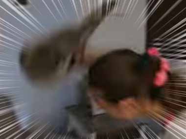 飼い主が毛玉を持ち上げて何度も叩きつける。これは虐待だ！ → そうじゃないようです…