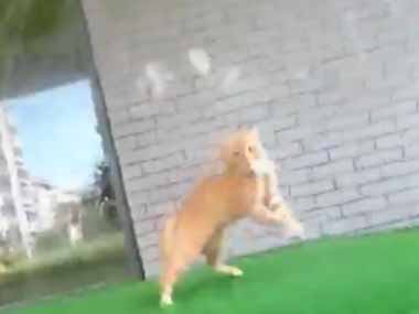 街中でガンを飛ばされたので近づいてみた。すると相手が逃げ出した。待てゴラァ！ → 追いかけてみました…