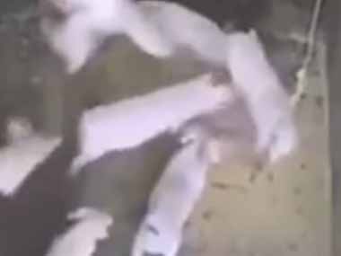 ママは食事中だった。その目の前で子供たちがケンカをはじめる → ベテランママは無言でこうします…