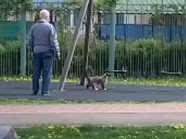 ネコが飼い主と公園にやってきた。これで遊ぶの♪ → ブランコ好きな猫はこちらです…