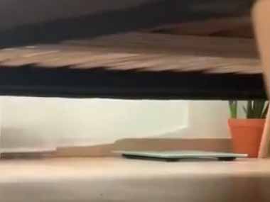 【ネコ】 ベッドの下が騒がしい。よよよっと！ → 猫、何かの修行中です…