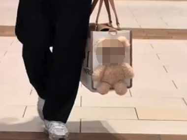 【イヌ】 バッグの側面にはテディベアがくっついていた。顔がリアルで可愛いですね → 本物でした…