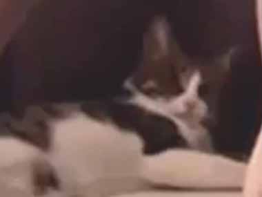 お姉さんがヨガをしながら瞑想していた。ボクもする♪ → かわいいパートナーはこうなる…